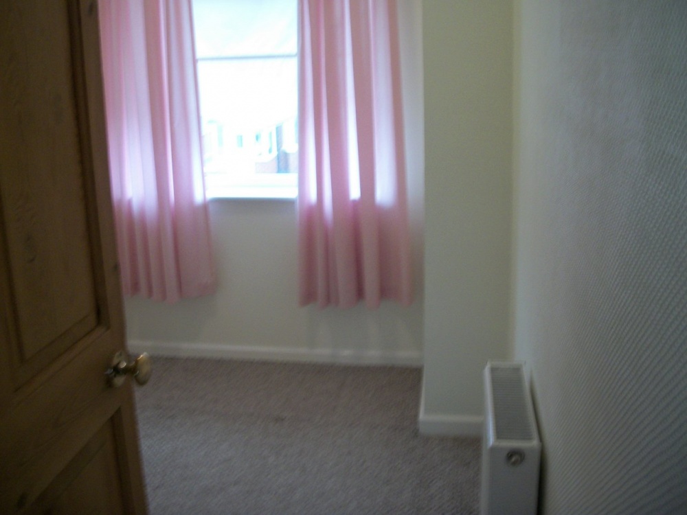 Rivington Avenue